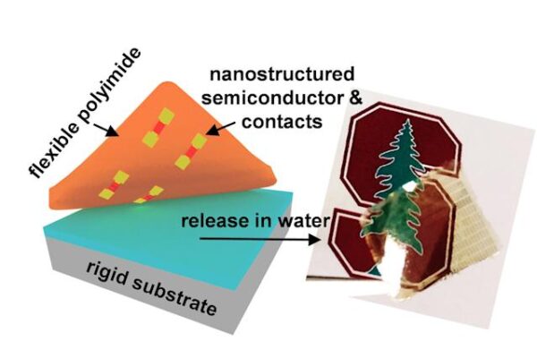 “Atomically thin” transistors could help make electronic skins a reality