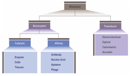 Biosensors made using biocompatible ink can be useful during operation