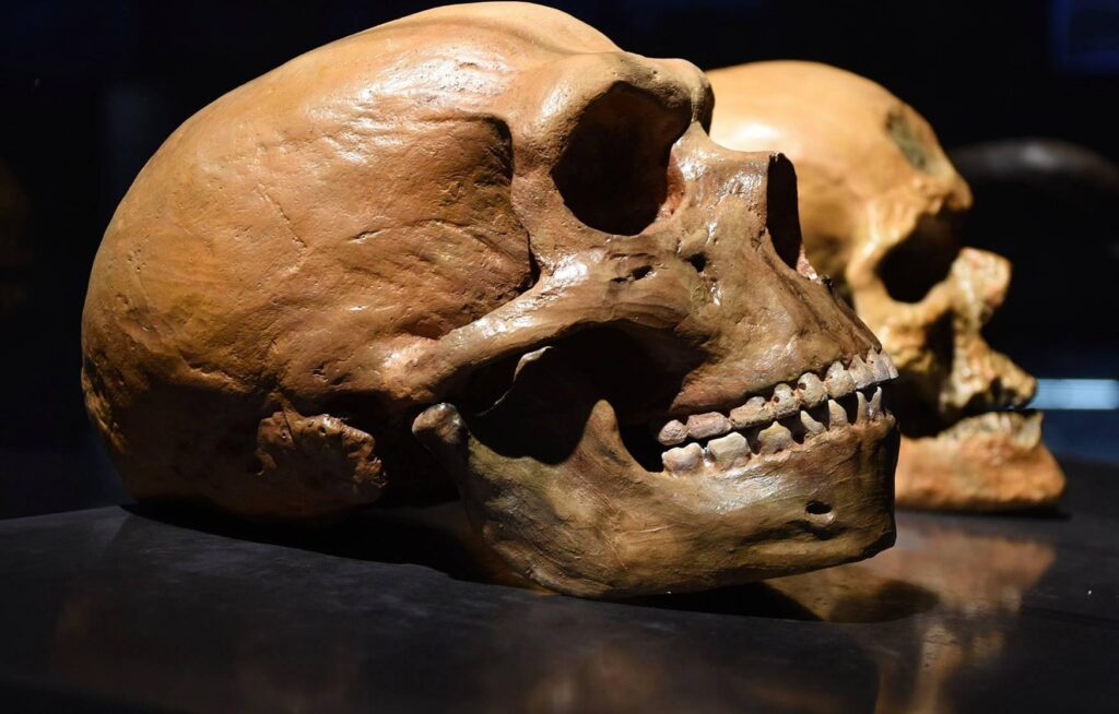 Scientists find fossils from new human species aged 130,000 years
